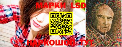 ALPHA PVP Новозыбков