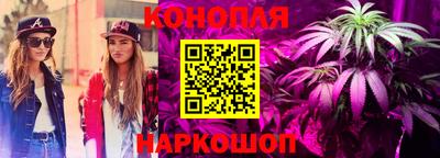 ALPHA PVP Новозыбков