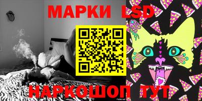 МДПВ Новокубанск