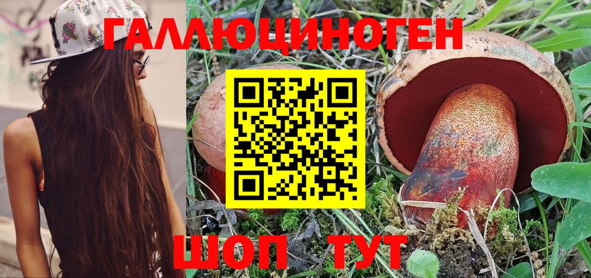 Галлюциногенные грибы прущие грибы Фролово